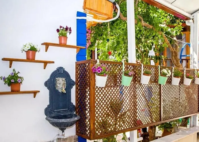 Merve Butik * 디딤